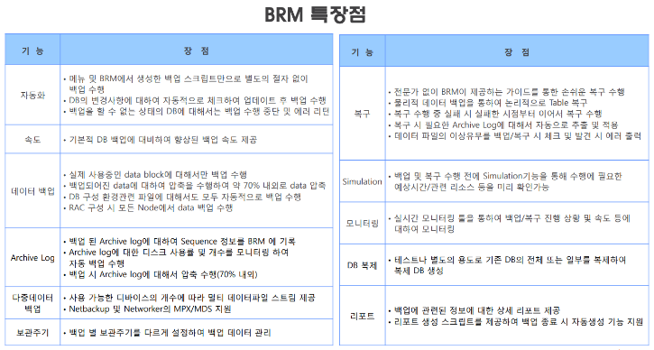 BRM_특장점_20230530_153444.png